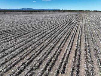 788 Couradda Road Narrabri NSW 2390 - Image 2