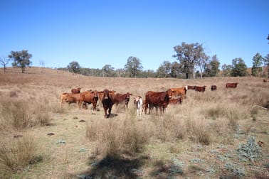 'Beeron' Beeron Road, Beeron Mundubbera QLD 4626 - Image 1