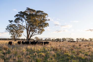 1843 Yeo Yeo Hampstead Road Young NSW 2594 - Image 2