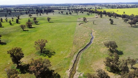 1843 Yeo Yeo Hampstead Road Young NSW 2594 - Image 2