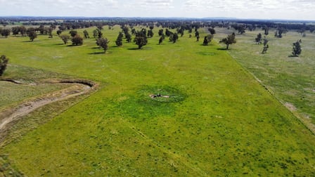 1843 Yeo Yeo Hampstead Road Young NSW 2594 - Image 3