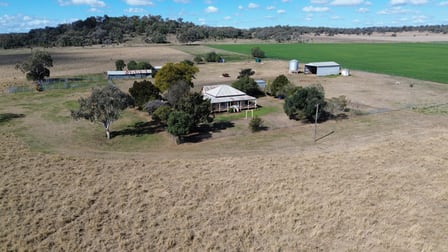 1071 Oakey Pittsworth Road Aubigny QLD 4401 - Image 2