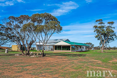 280 Swamp Road Truro SA 5356 - Image 3
