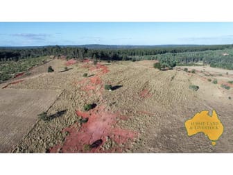 292 Back Creek Road, Stalworth Via Proston QLD 4613 - Image 3