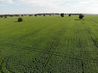 47 Adios Lane Bogan Gate NSW 2876 - Image 3