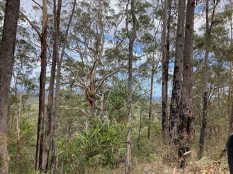 Upper Shark Creek Road Shark Creek NSW 2463 - Image 3