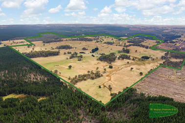 800 Riverview Forest Road Mozart NSW 2787 - Image 2