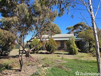 163 Hills Road Robertstown SA 5381 - Image 1