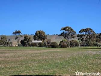 163 Hills Road Robertstown SA 5381 - Image 2