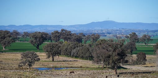 1455 Euchareena Road Molong NSW 2866 - Image 3