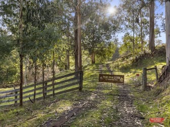 135 Forresters Road Wooreen VIC 3953 - Image 2