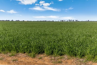 386 Butler Road Moama NSW 2731 - Image 1
