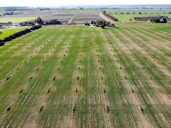 145 Steicke Road Beverford VIC 3590 - Image 3