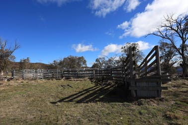1917 Limestone Road Benambra VIC 3900 - Image 3