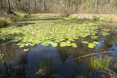 134 Sugarbag Rd W Drake NSW 2469 - Image 1