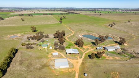 1624 Osborne Yerong Creek Road Yerong Creek NSW 2642 - Image 3