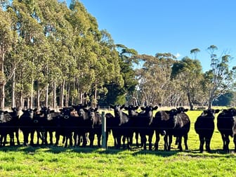 357 Batemans Road Boorcan VIC 3265 - Image 3