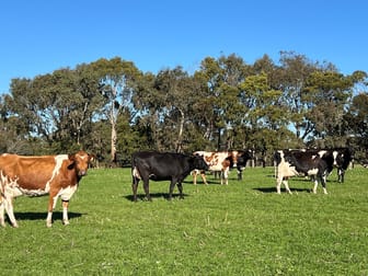 357 Batemans Road Boorcan VIC 3265 - Image 1