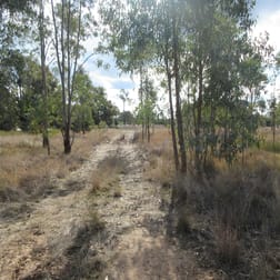 Lot 148 Kofoeds Road Tara QLD 4421 - Image 2