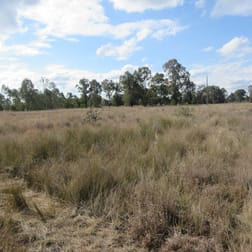Lot 148 Kofoeds Road Tara QLD 4421 - Image 3