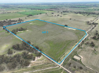 219 Grahams Road Wunghnu VIC 3635 - Image 2