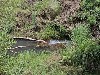 177 Killarney Rd Legume NSW 2476 - Image 3