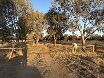Lot 133 Troths Lane Quandialla NSW 2721 - Image 1