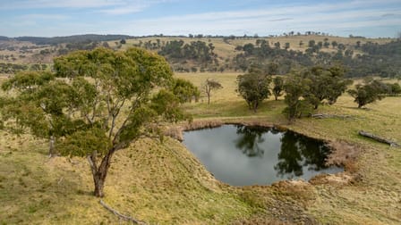 4248 Pinkett Road Red Range NSW 2370 - Image 2