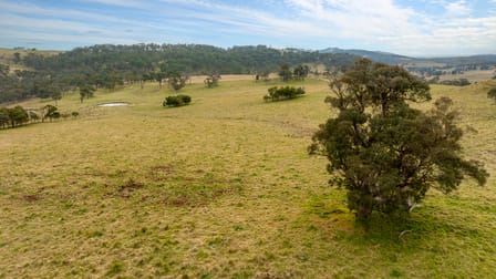 4248 Pinkett Road Red Range NSW 2370 - Image 3