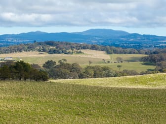 43 Byng Road Guyong NSW 2798 - Image 2