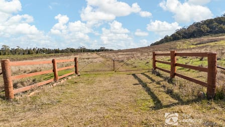 189 Montaza Road Gulgong NSW 2852 - Image 2