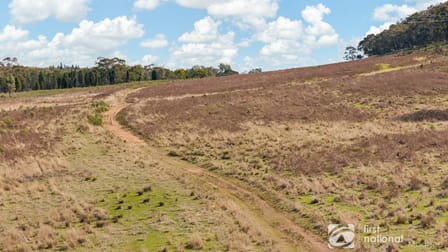 189 Montaza Road Gulgong NSW 2852 - Image 3