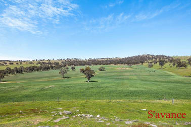 Lot 50 Fendlers Road Tungkillo SA 5236 - Image 2