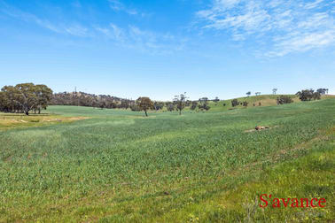 Lot 50 Fendlers Road Tungkillo SA 5236 - Image 3