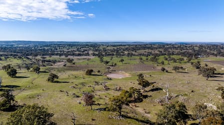 Peggy Hill Road Eden Valley SA 5235 - Image 2