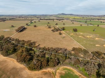 29 Jaegers Lane The Rock NSW 2655 - Image 1