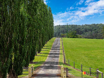 470 Larrys Mountain Road Mogendoura NSW 2537 - Image 1