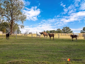 470 Larrys Mountain Road Mogendoura NSW 2537 - Image 3