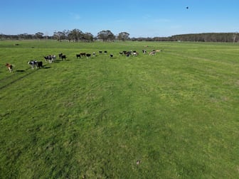 Horans Road Carpendeit VIC 3260 - Image 3