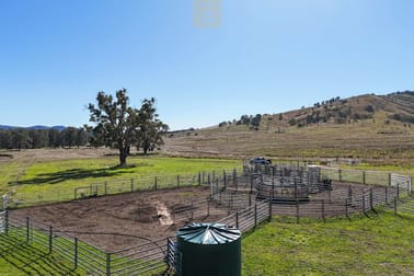 Pound Creek Road Rocky Creek NSW 2390 - Image 3