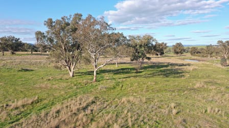 Lot 5 Warral-Bithramere Road Tamworth NSW 2340 - Image 2