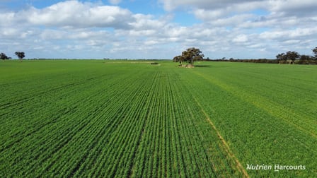 "Browns" Chandler-Merredin Road Burracoppin WA 6421 - Image 1