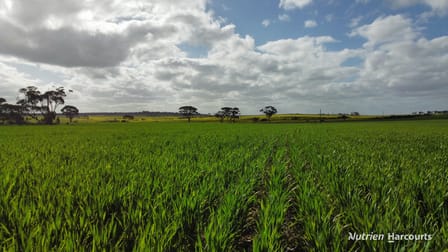 "Browns" Chandler-Merredin Road Burracoppin WA 6421 - Image 3