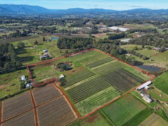 165 Old Baker Road Wandin East VIC 3139 - Image 2