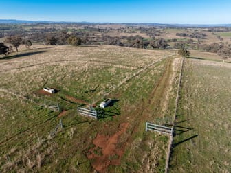 'Killeaton' 183 Sullivans Road Molong NSW 2866 - Image 3