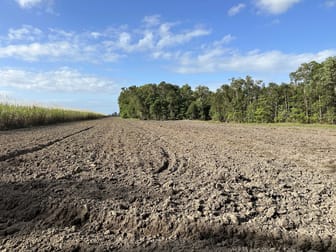 Bilyana QLD 4854 - Image 3