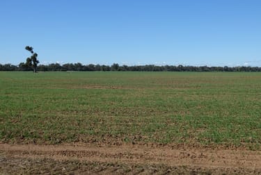 2557 Back Gular Road "Budgeon"' Combara NSW 2829 - Image 1