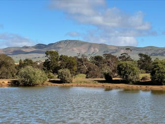 Lot 74 Mount Bryan East Road Mount Bryan East SA 5419 - Image 1