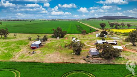 203 Bakers Road Gunnedah NSW 2380 - Image 1