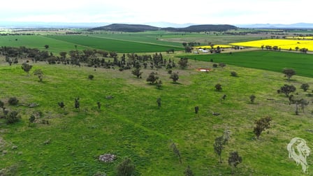 203 Bakers Road Gunnedah NSW 2380 - Image 2
